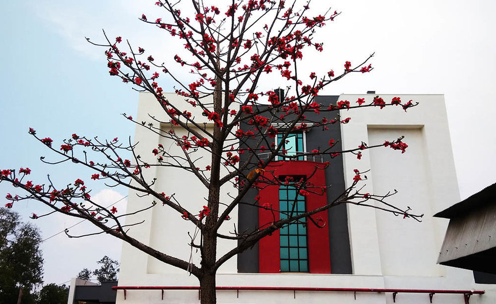 Hotel Polo Max Jabalpur Exterior foto